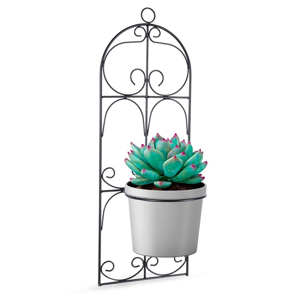 Hanging Wall Pot in Black Metal for One Pot