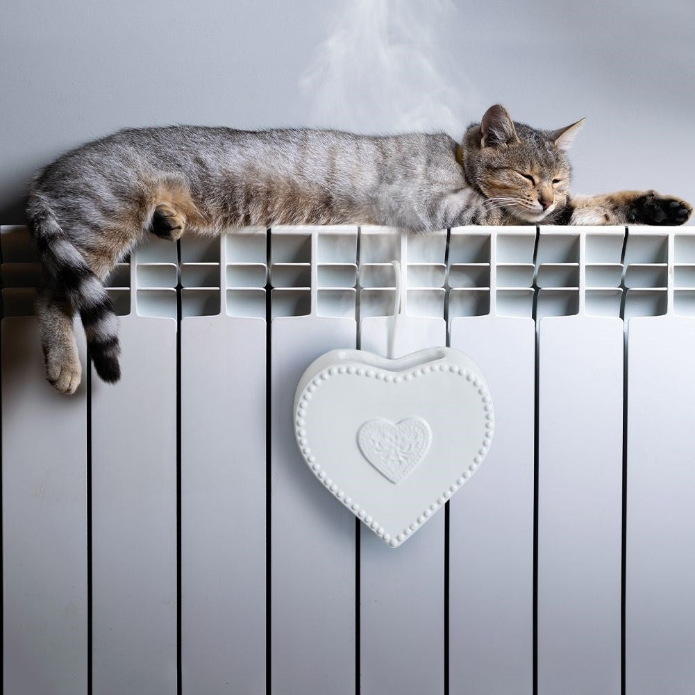 Heart-shaped ceramic humidifier for elements