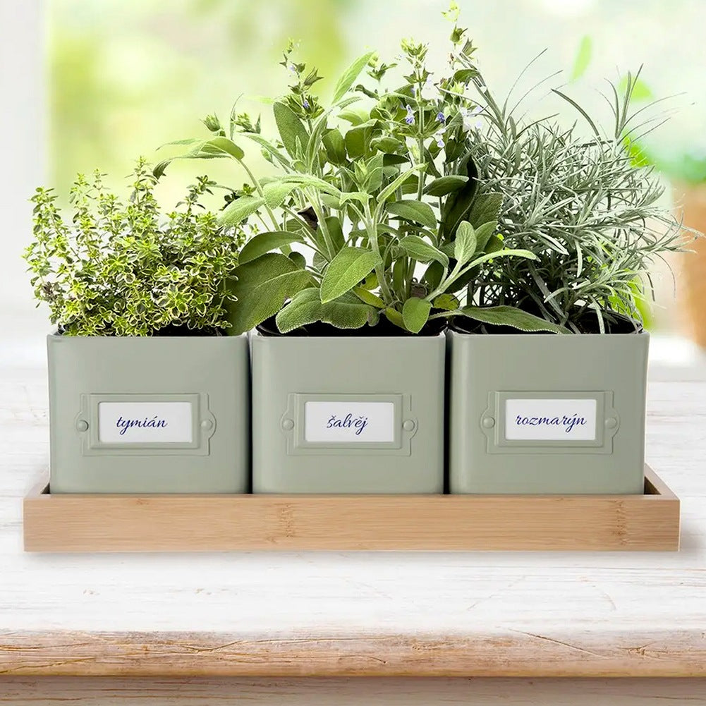 Herb pot cover on stand GREENISH 4 pcs.