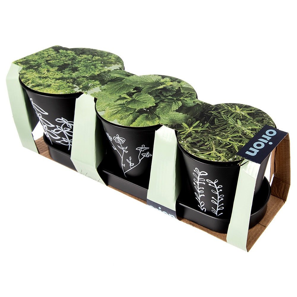 Herb pot on stand BLACKLINE 4 pcs.