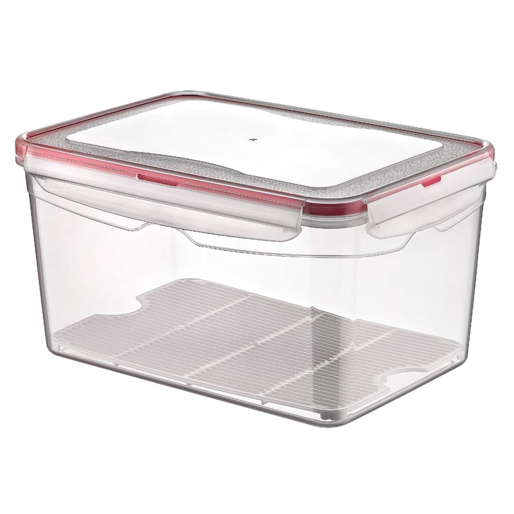 Hermetic plastic container with silicone seal and clips