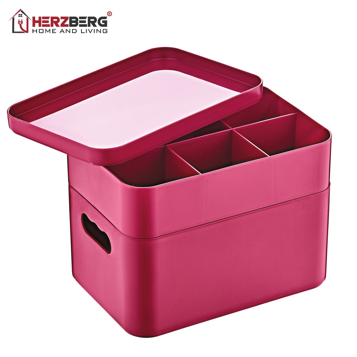 Herzberg HG-OKY676: 2 Layer Multipurpose Organizer Box Purple