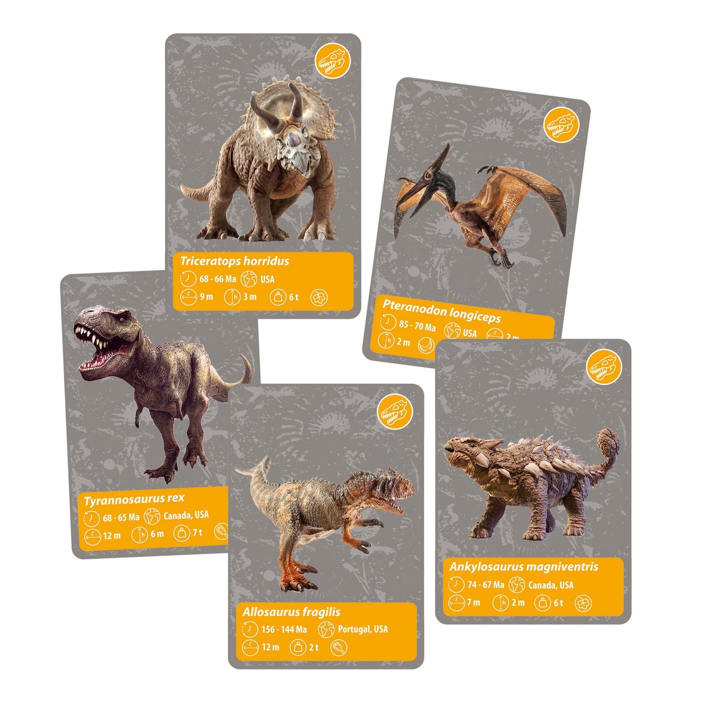 History Of Life On Earth Science Set