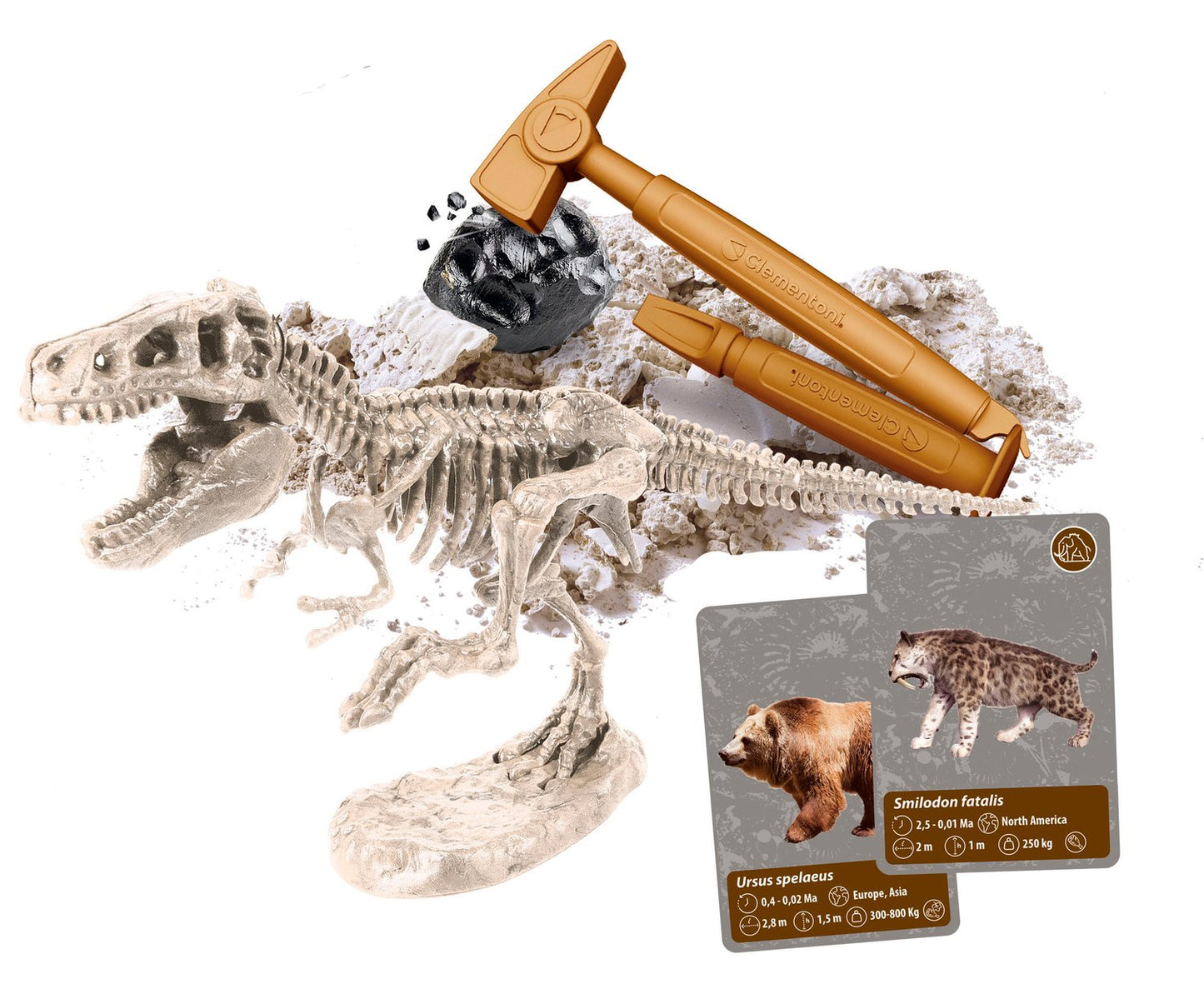 History Of Life On Earth Science Set