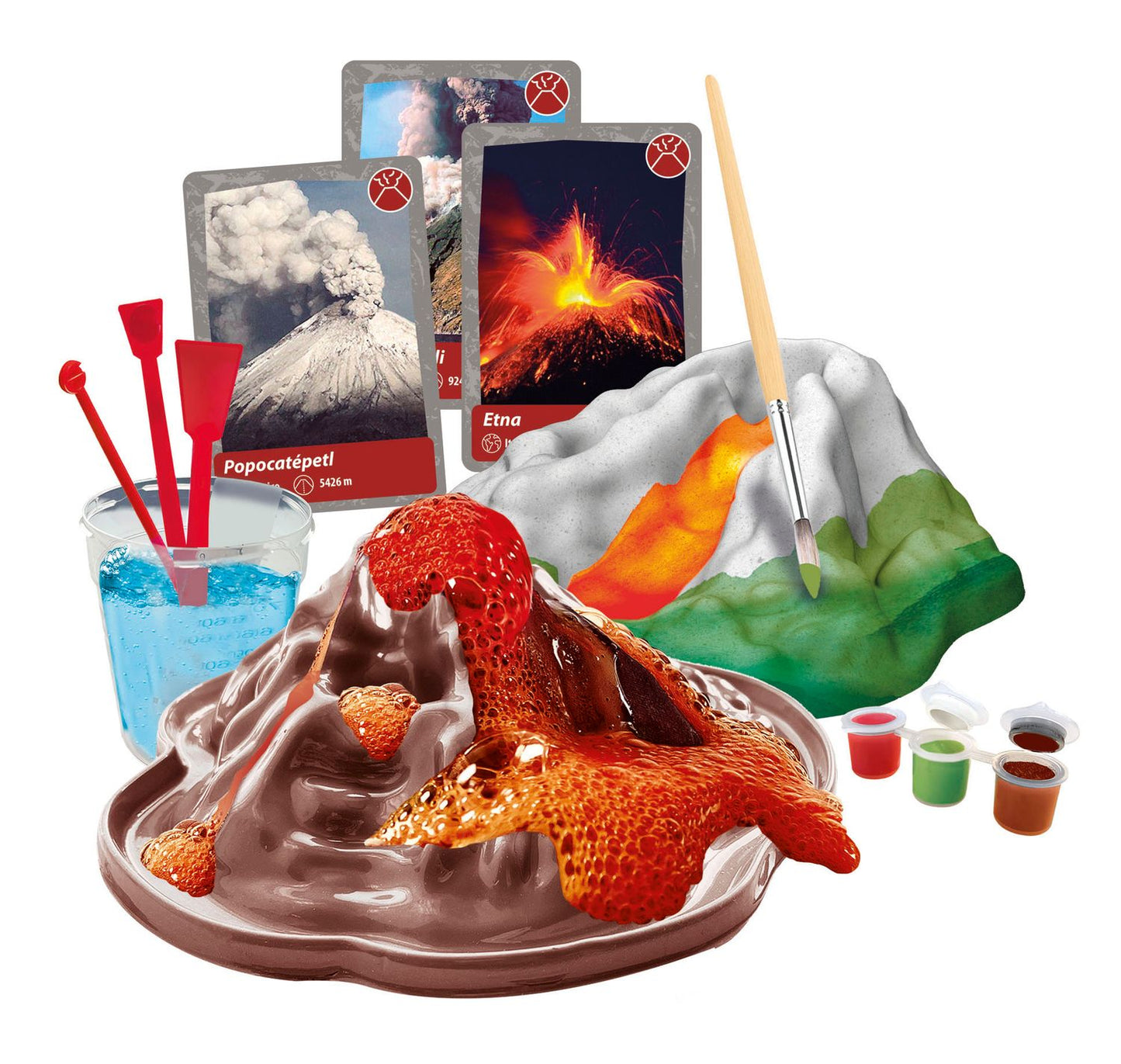 History Of Life On Earth Science Set