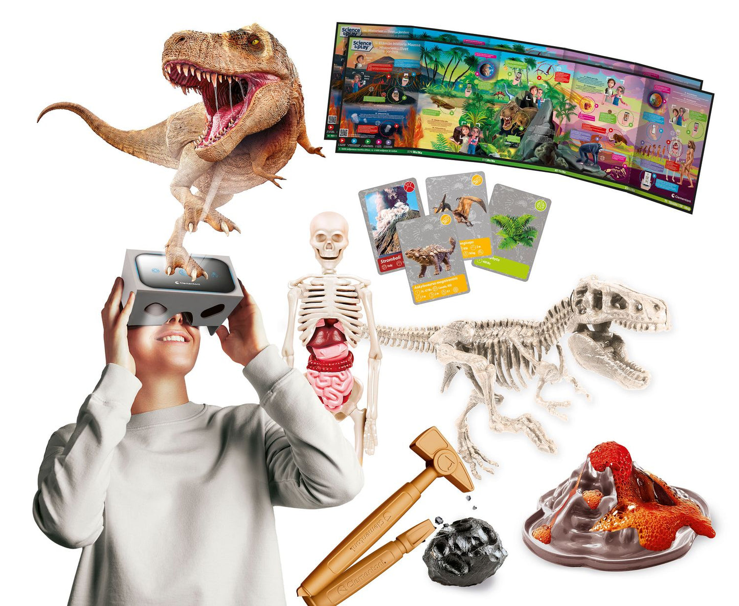 History Of Life On Earth Science Set