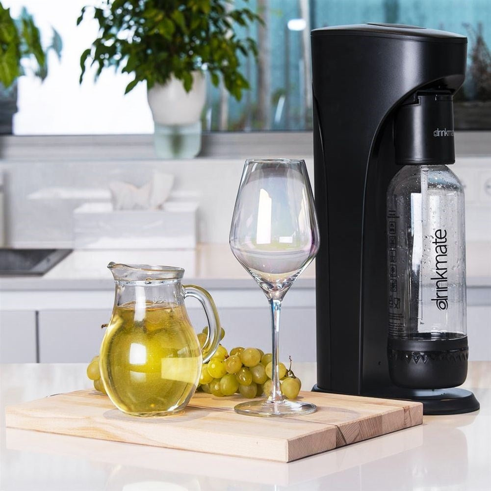 Homemade Carbonated Water and Lemonade Easy