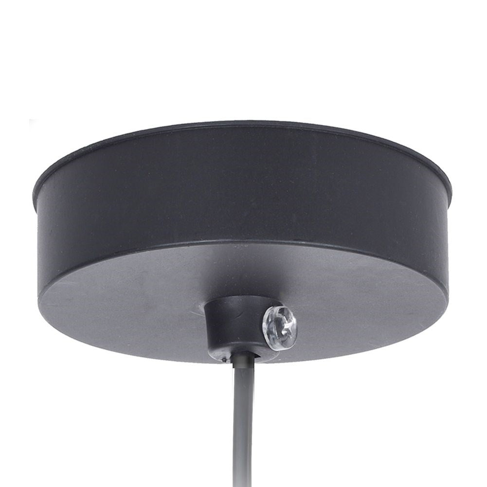 Industrial Ceiling Lamp in LOFT style for Modern Interior
