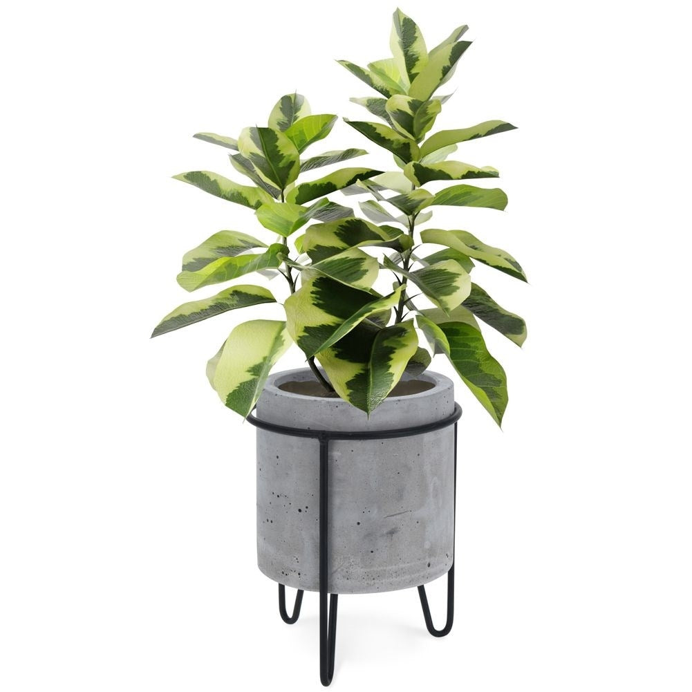 Industrial concrete pot with black metal stand