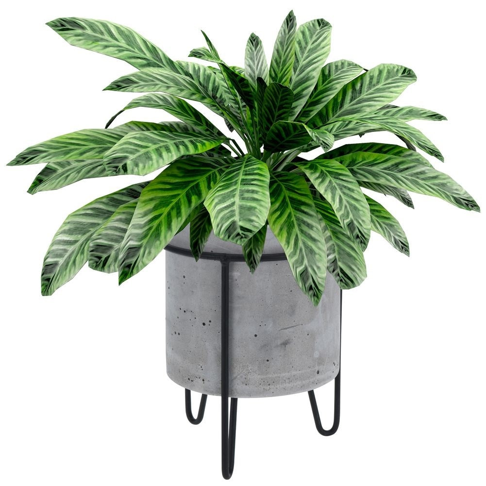 Industrial concrete pot with black metal stand