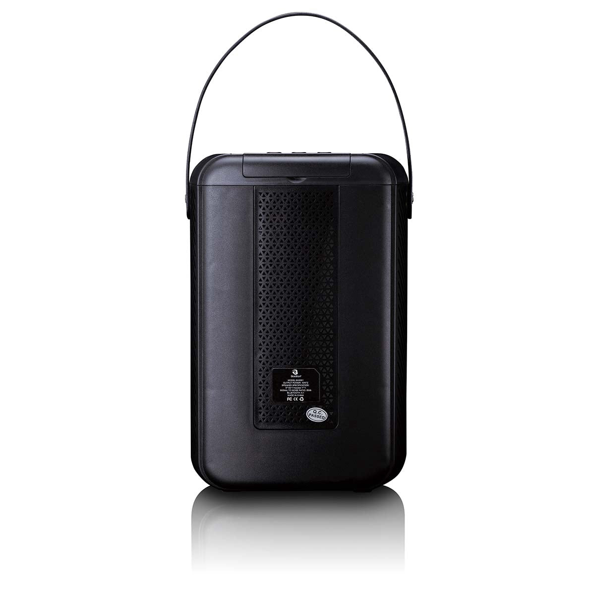 Karaoke System with Bluetooth, LED Lights, Wireless Mic