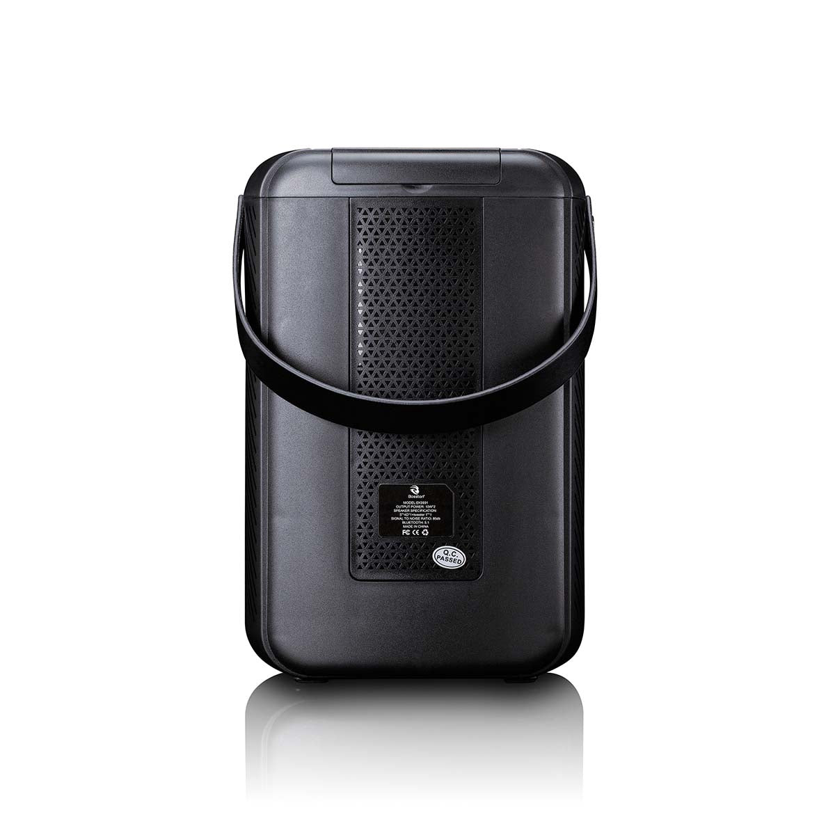 Karaoke System with Bluetooth, LED Lights, Wireless Mic