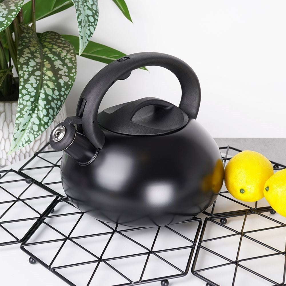 Kettle: Automatic Whistle, Stainless Steel, Matte Black