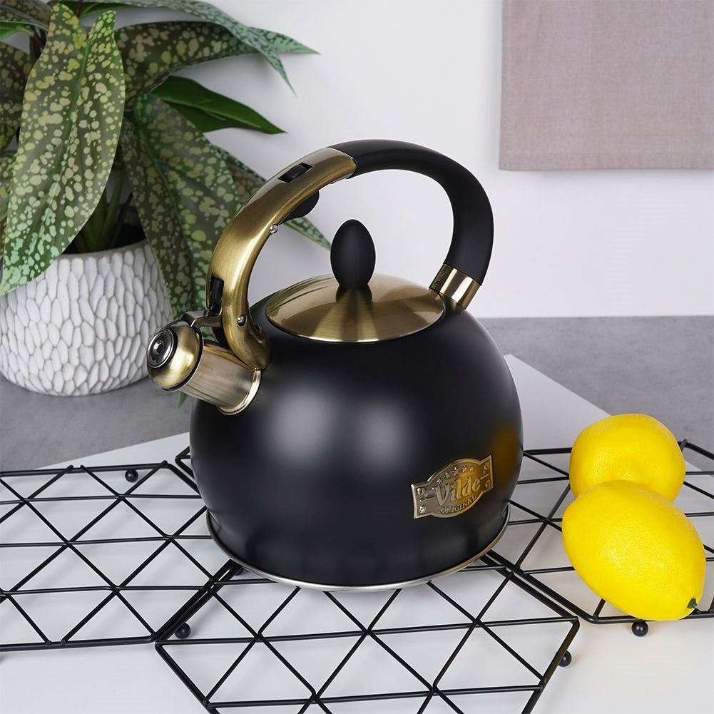 Kettle in Stainless Steel with Automatic Whistle