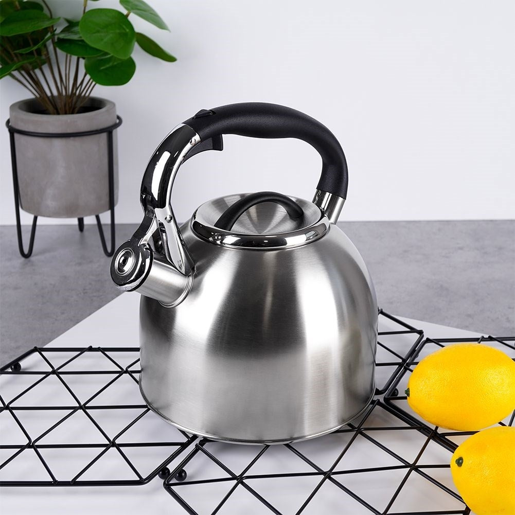Kettle in Stainless Steel with Automatic Whistle