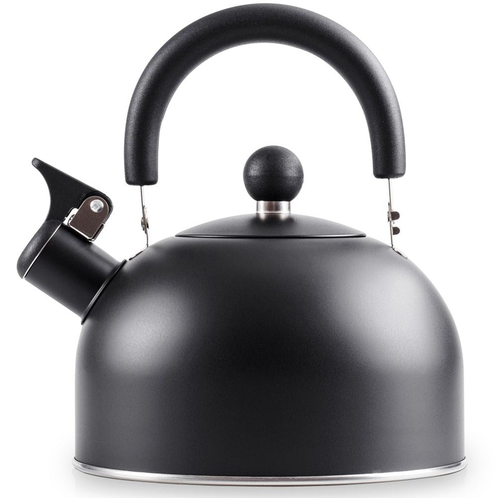 Kettle in Stainless Steel with Tiltable Whistle