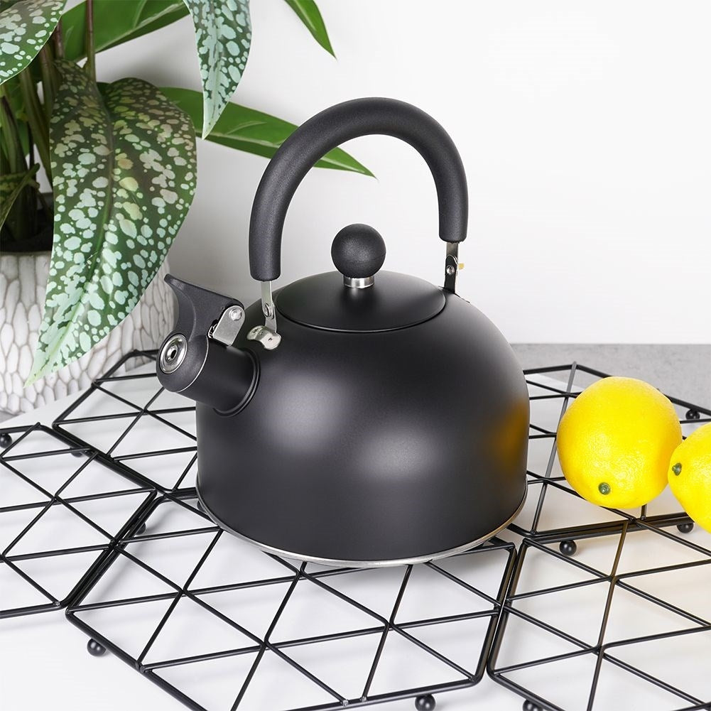 Kettle in Stainless Steel with Tiltable Whistle