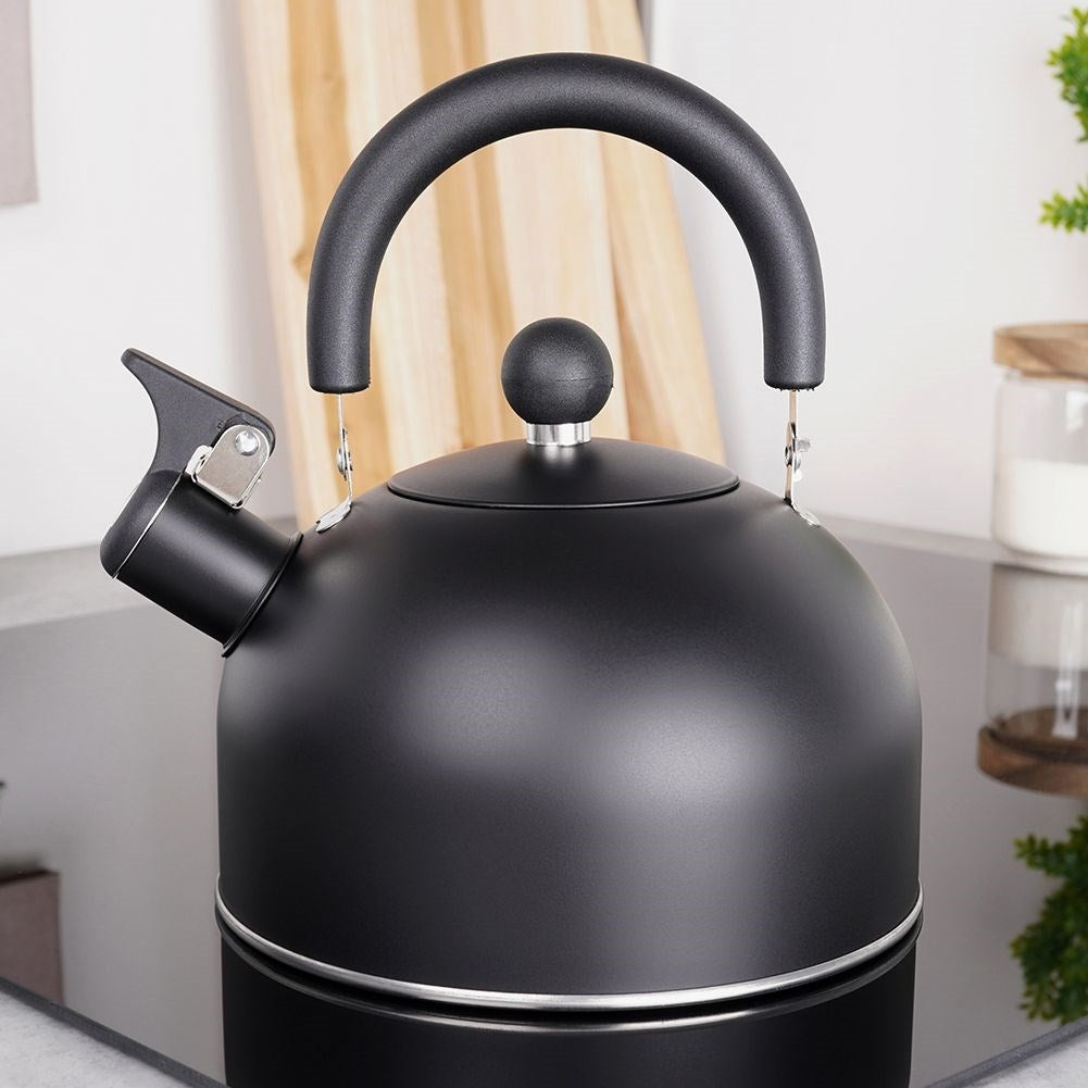 Kettle in Stainless Steel with Tiltable Whistle