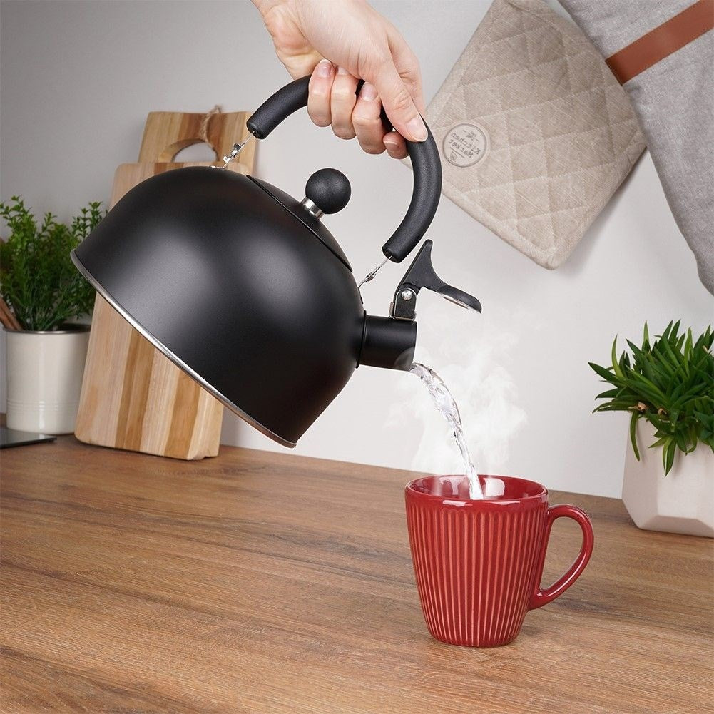Kettle in Stainless Steel with Tiltable Whistle