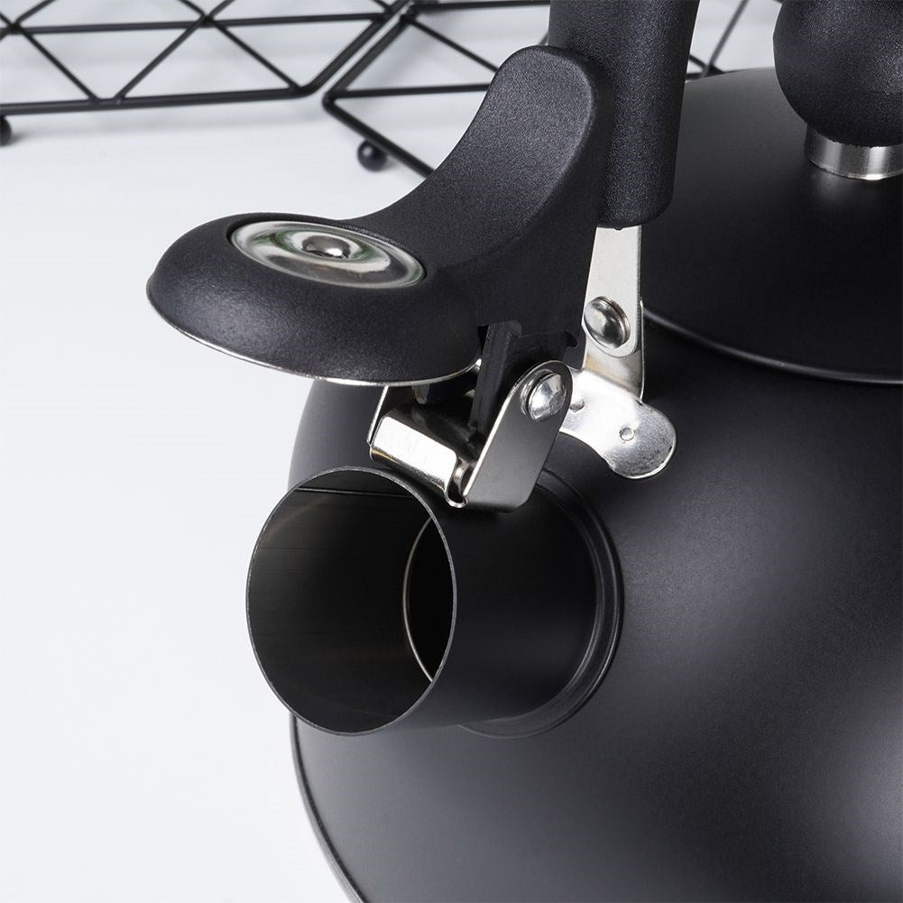 Kettle in Stainless Steel with Tiltable Whistle