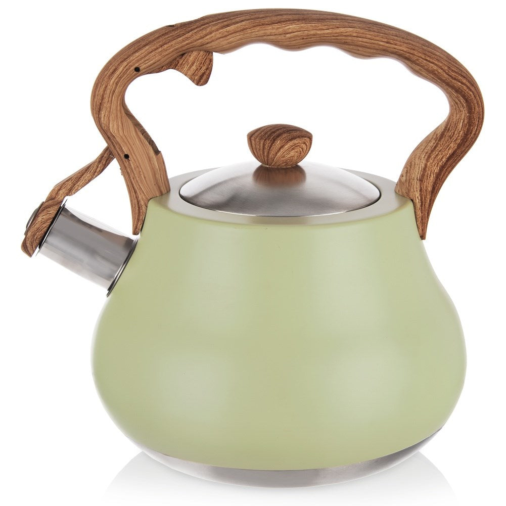 Kettle with whistle, steel, GREENISH, 3 l