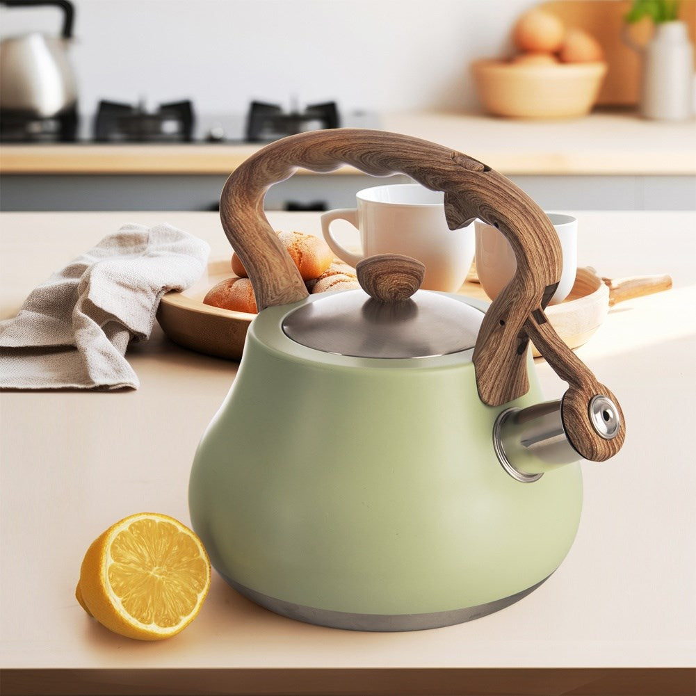 Kettle with whistle, steel, GREENISH, 3 l