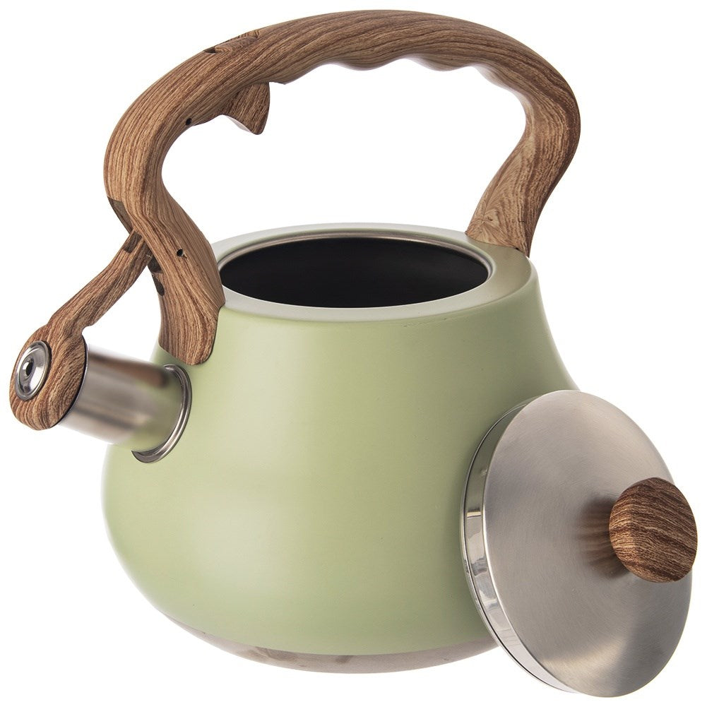 Kettle with whistle, steel, GREENISH, 3 l