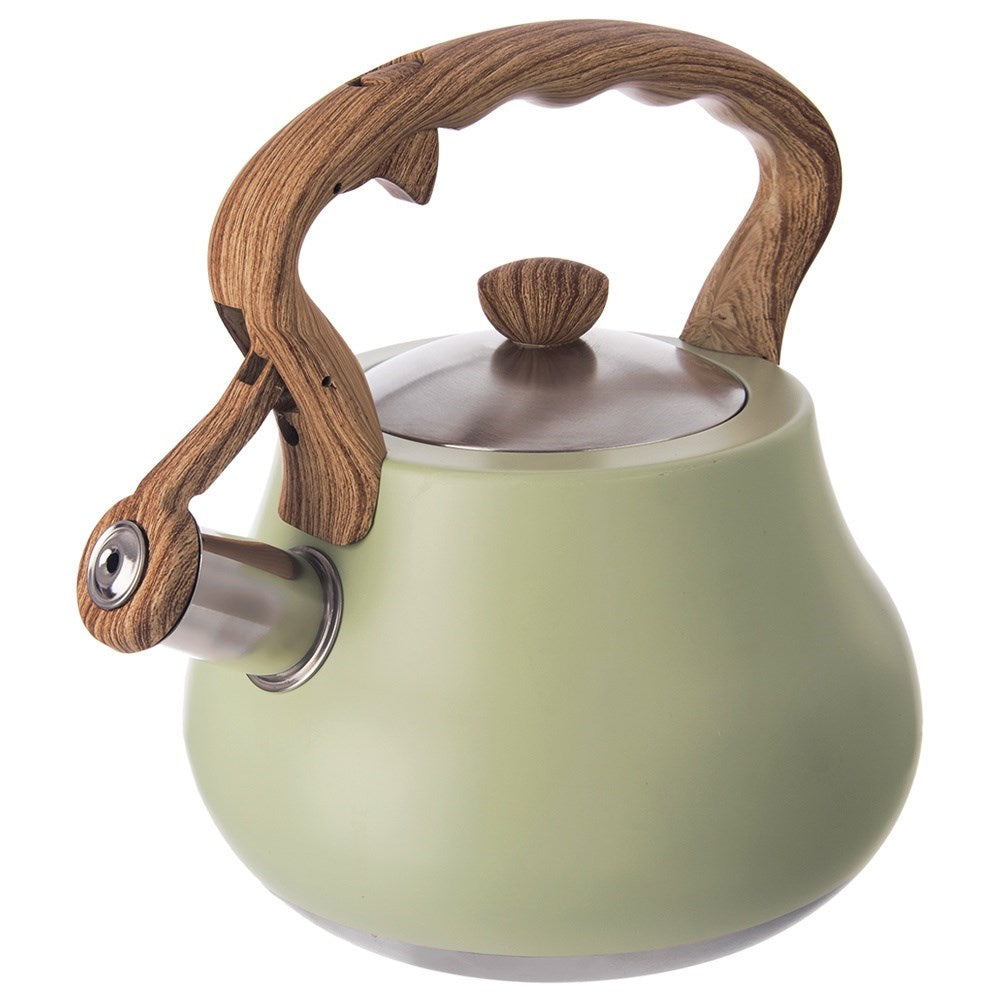 Kettle with whistle, steel, GREENISH, 3 l