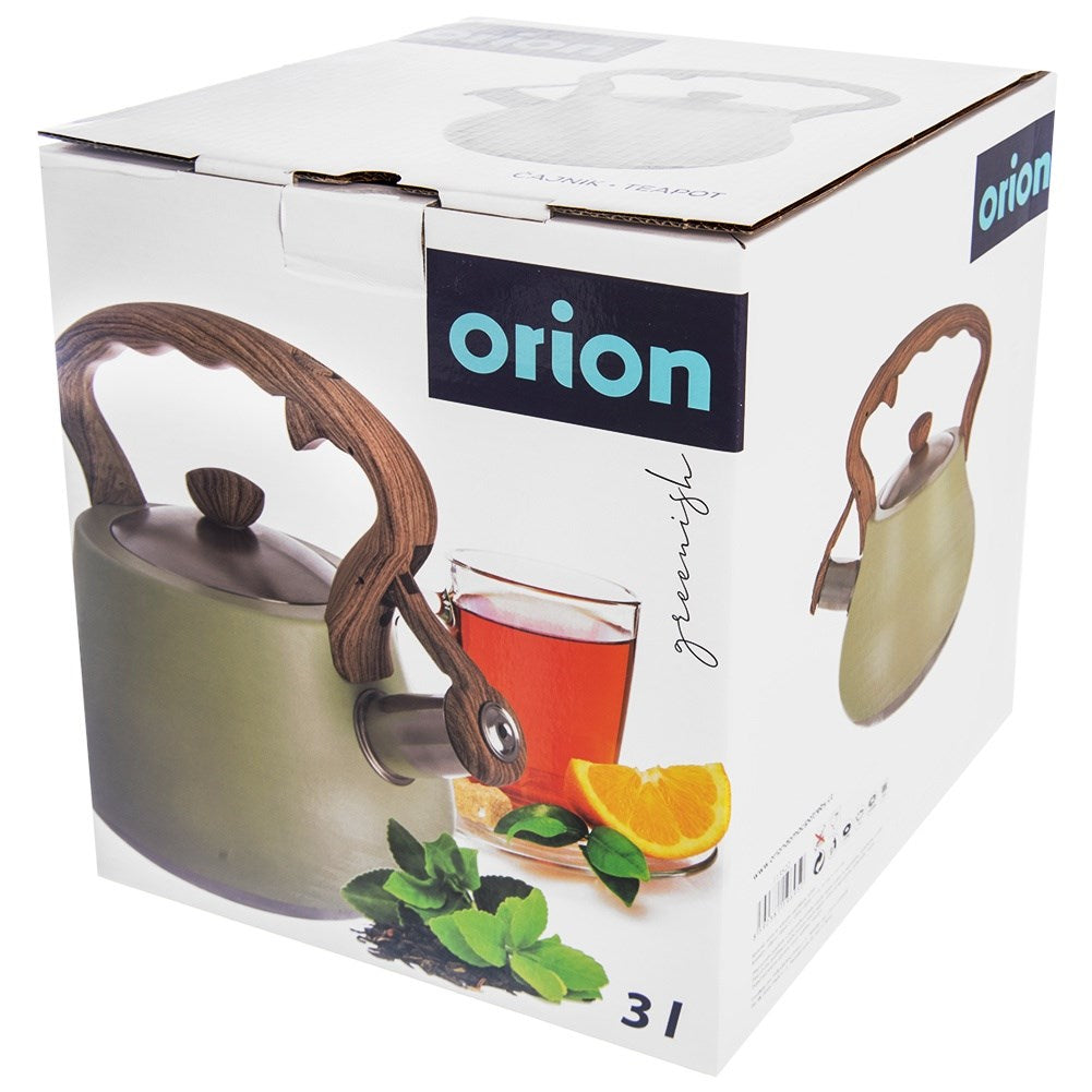 Kettle with whistle, steel, GREENISH, 3 l