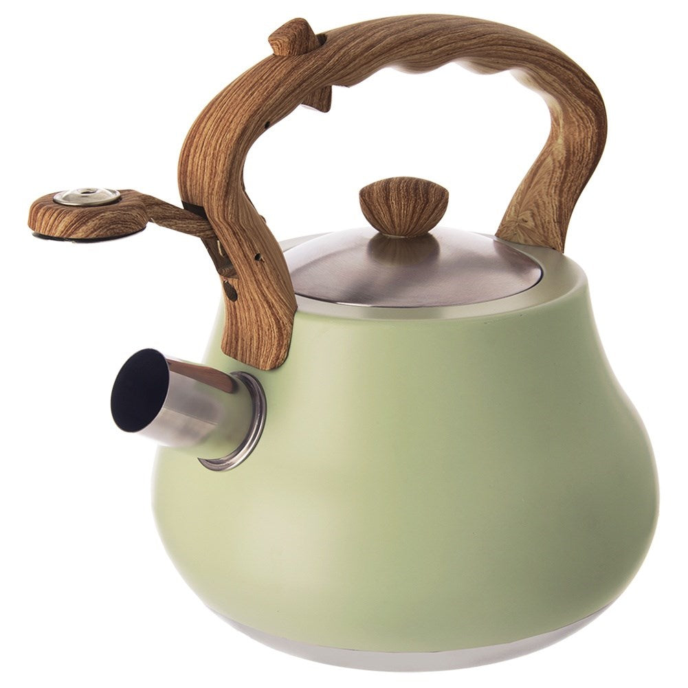 Kettle with whistle, steel, GREENISH, 3 l