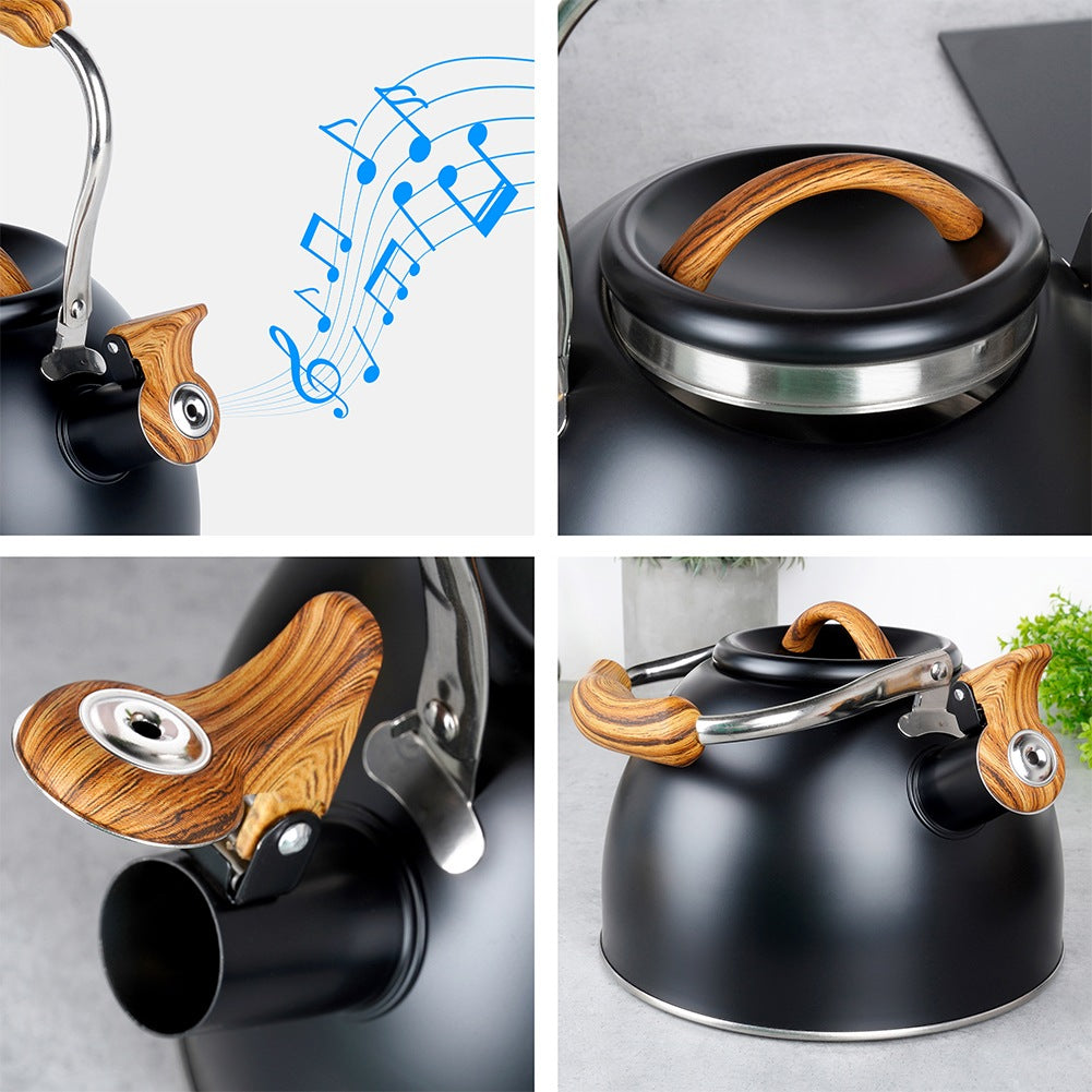 Kettle with whistle, steel, black, 2.5 l