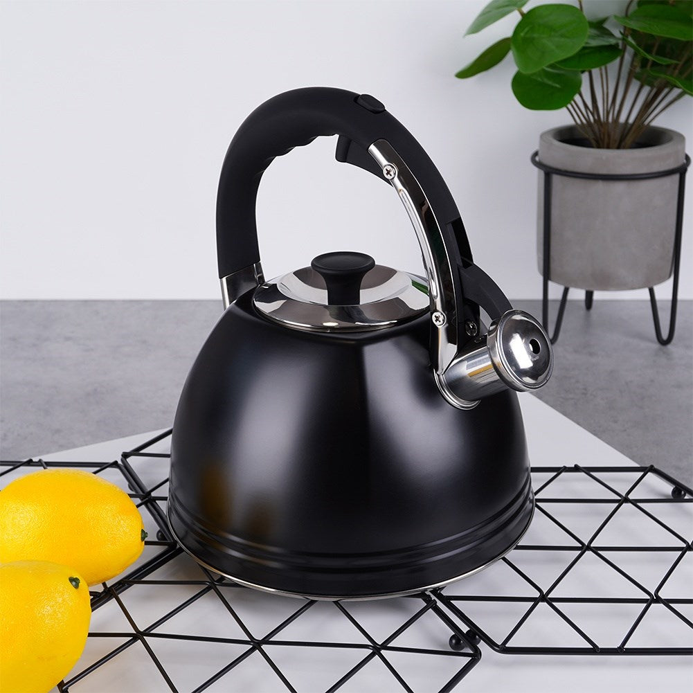 Kettle with whistle, steel, black, 2 l