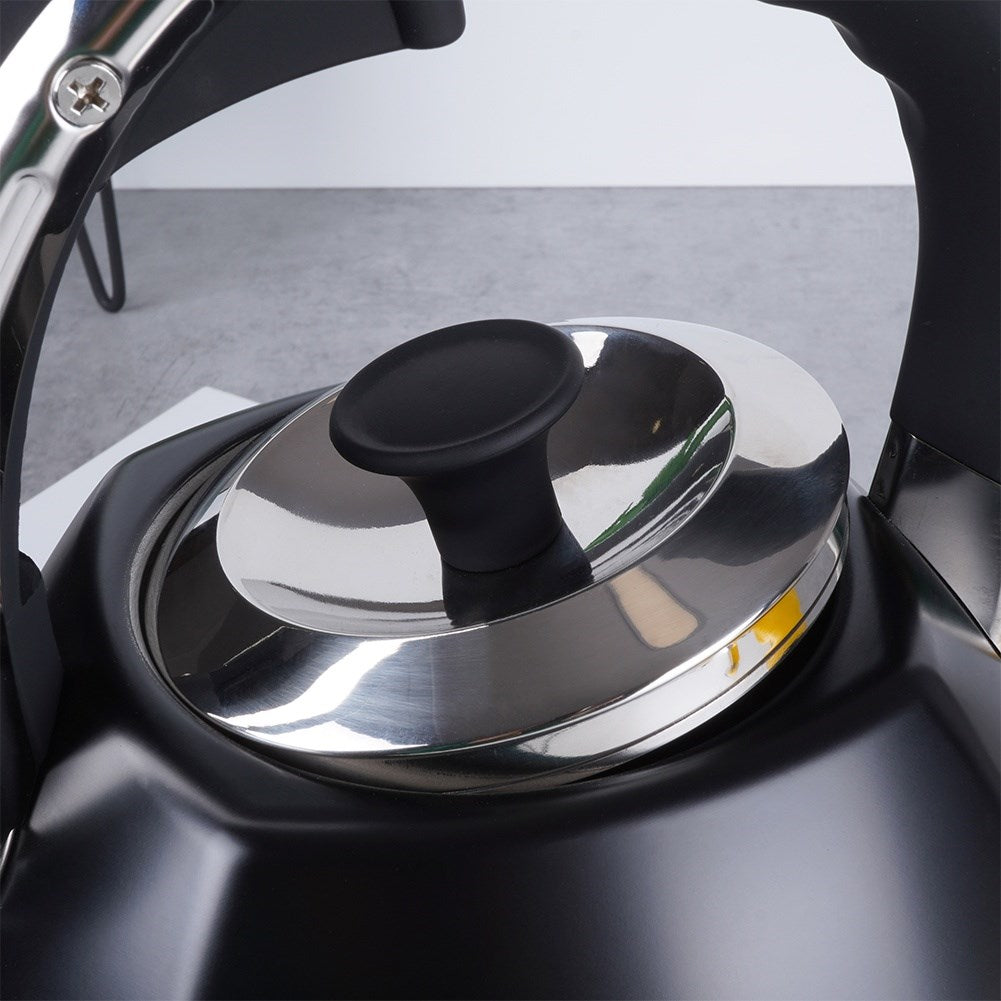 Kettle with whistle, steel, black, 2 l