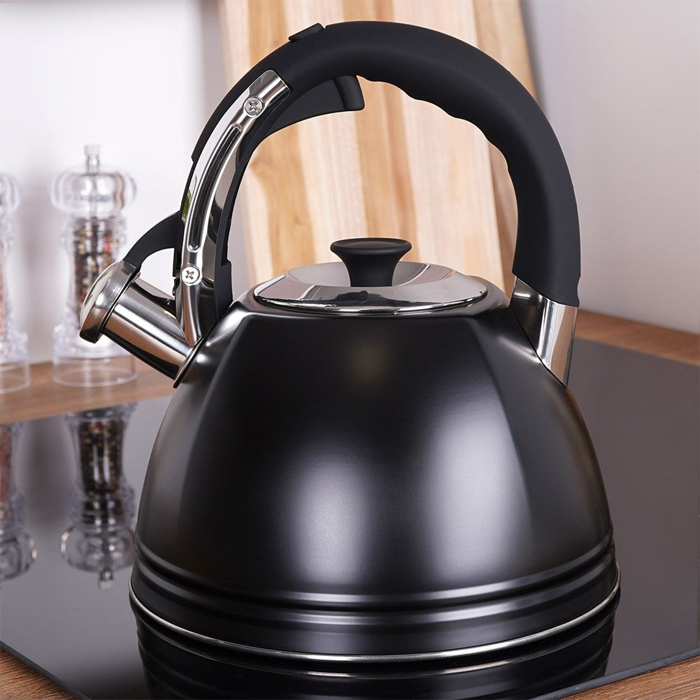 Kettle with whistle, steel, black, 2 l