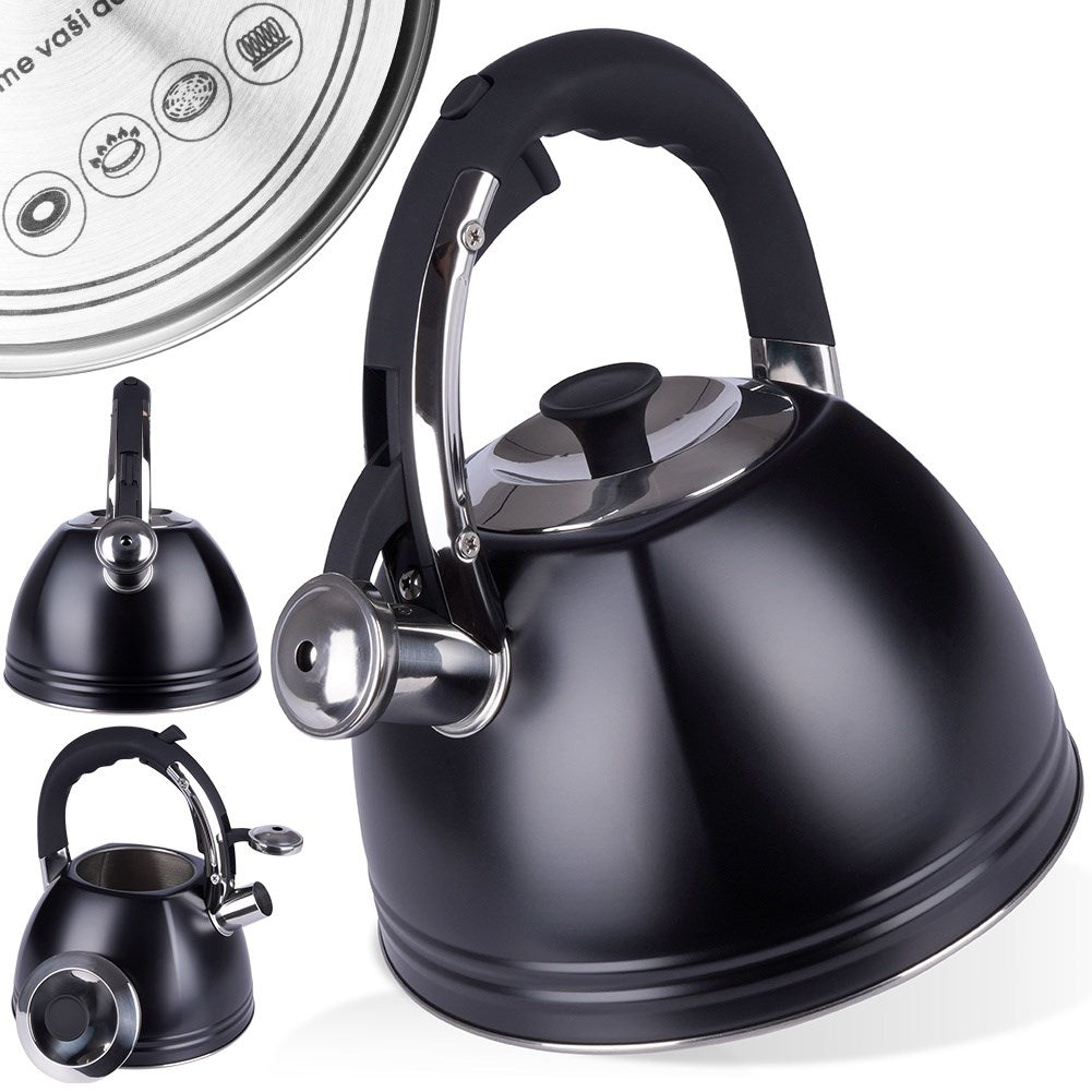 Kettle with whistle, steel, black, 2 l