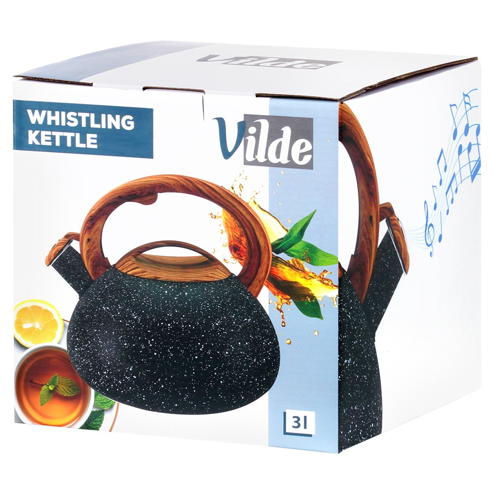 Kettle with whistle, steel, black, 3 l
