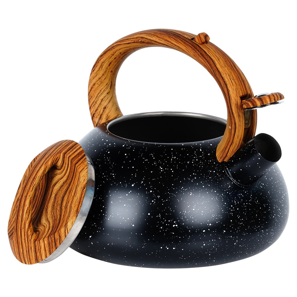 Kettle with whistle, steel, black, 3 l