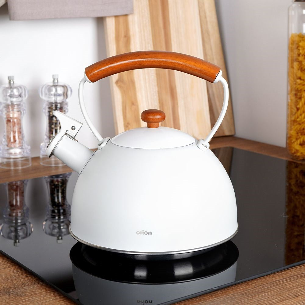 Kettle with whistle, steel, gray, WHITELINE, 2.9 l