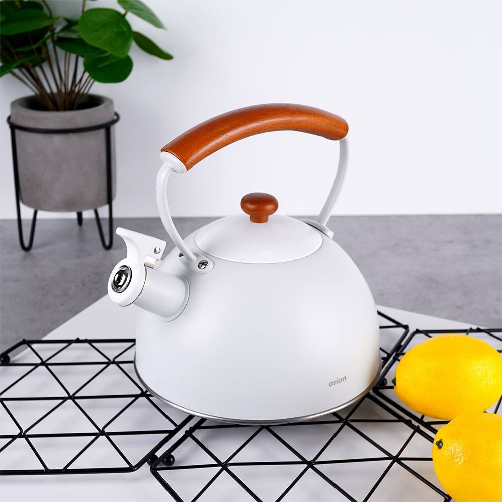 Kettle with whistle, steel, gray, WHITELINE, 2.9 l