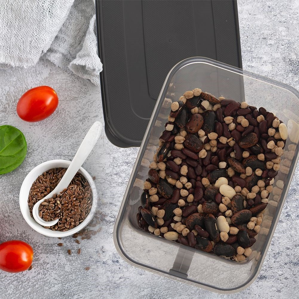 Kitchen container 2.6L with handle in durable plastic
