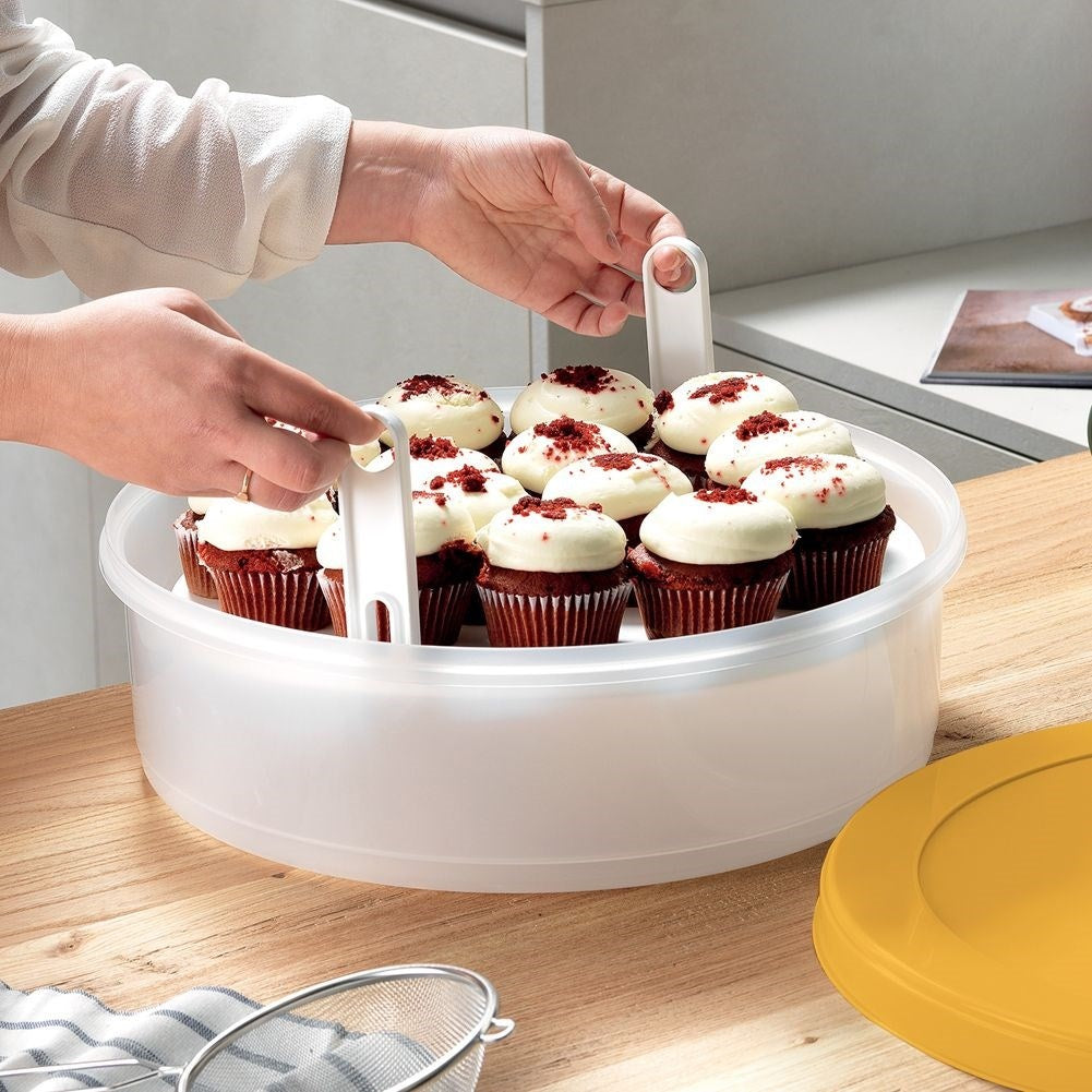 Large Cake Storage Container with Lid and Removable Insert