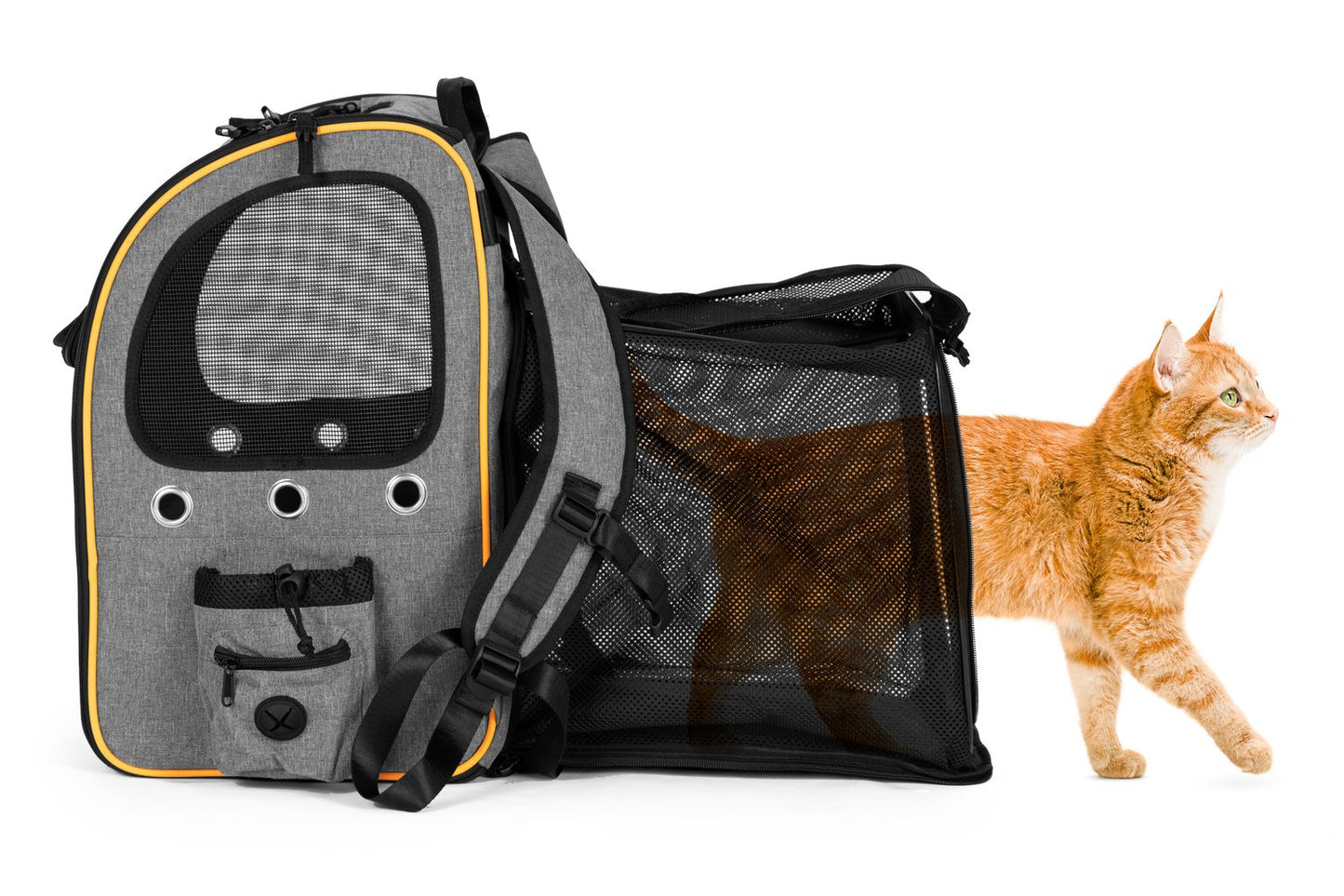 Large, durable, foldable backpack for transporting cats and dogs