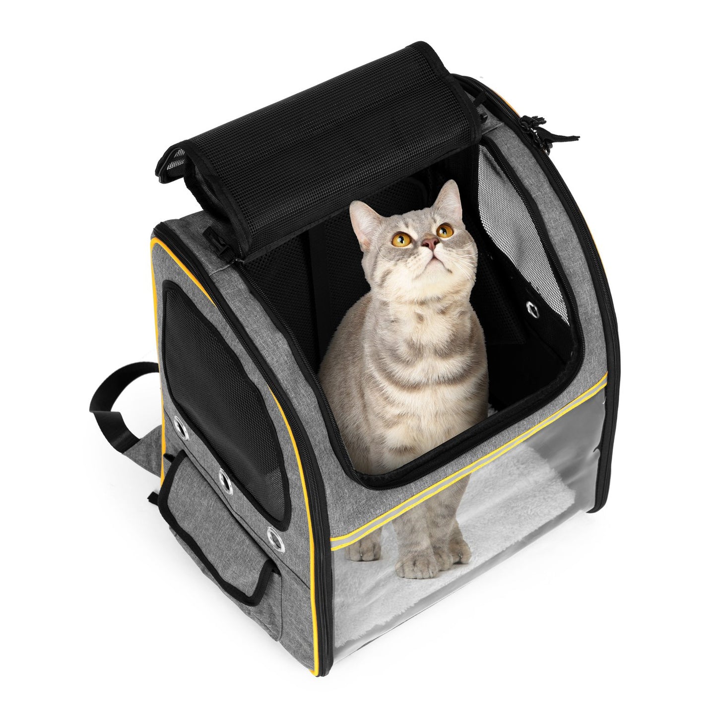 Large, durable, foldable backpack for transporting cats and dogs