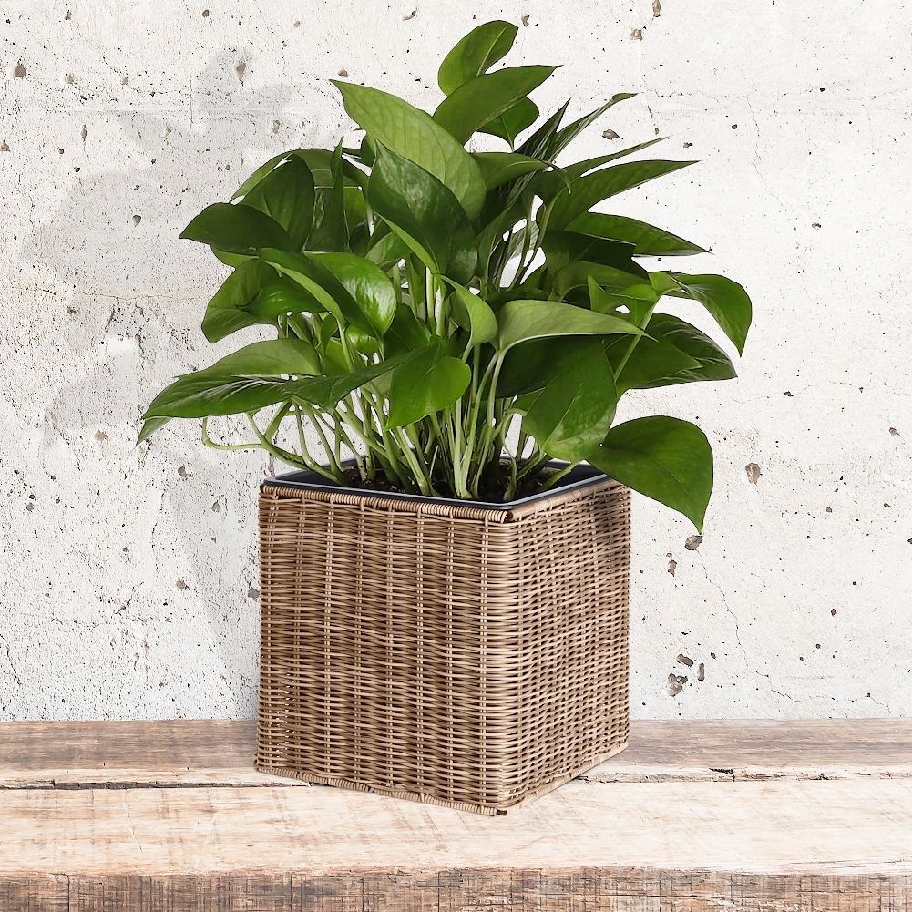 Large pot in weather-resistant material