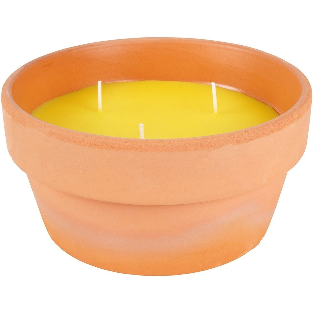 Lemon candle with three wicks in terracotta pot