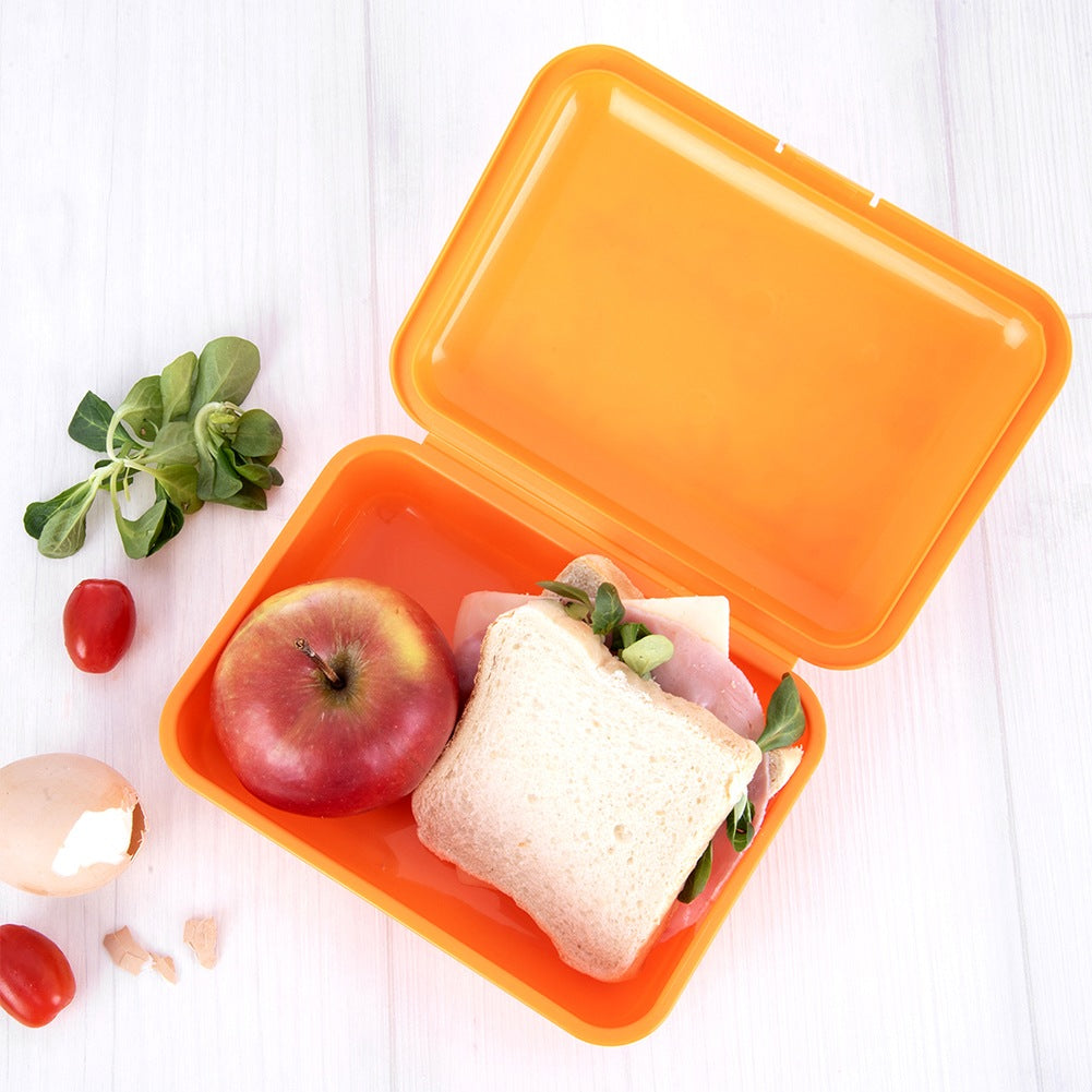 Lunch Box, Orange, 750 ml Capacity