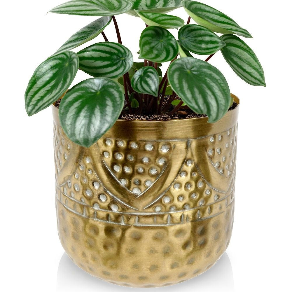 Luxurious flower pot in hammered brass with an elegant design