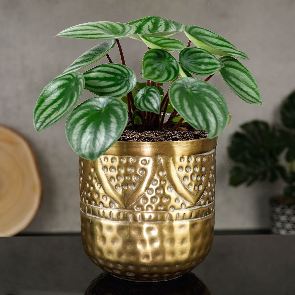 Luxurious flower pot in hammered brass with an elegant design