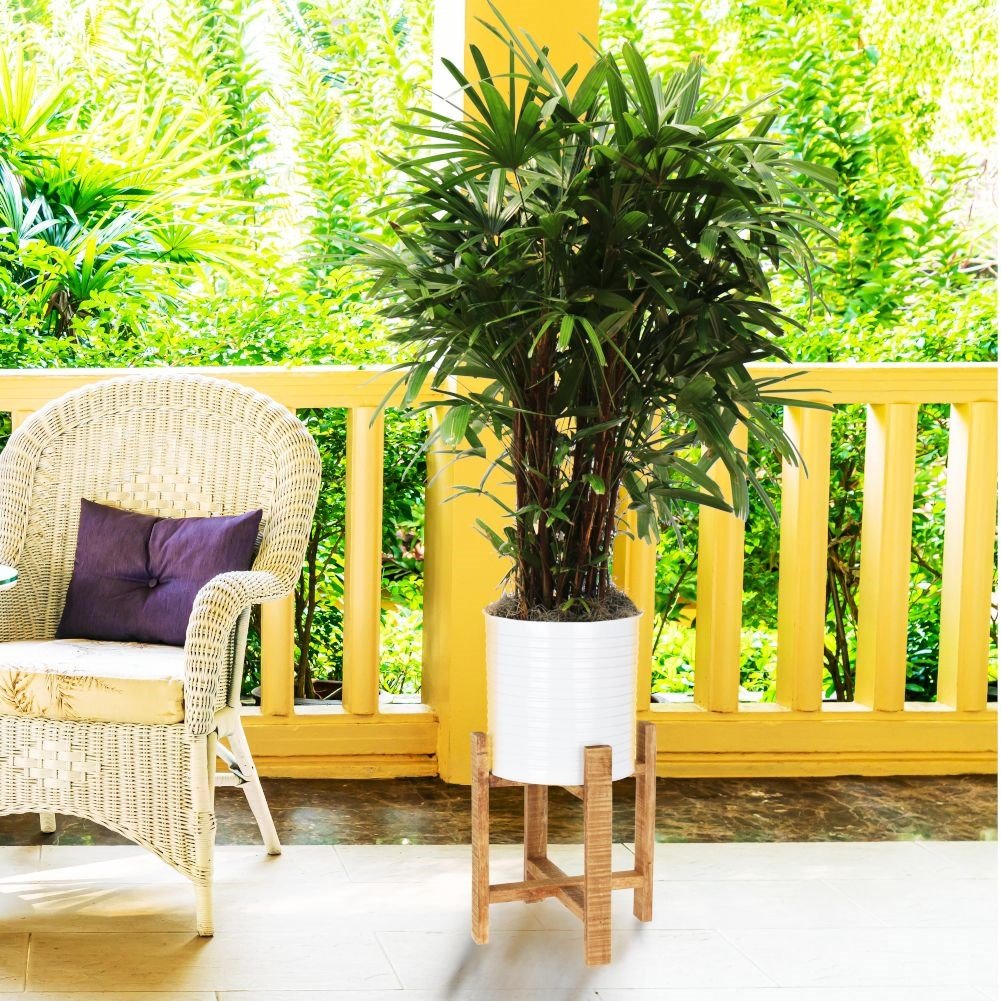 Metal flower pot with wooden stand for modern interior design