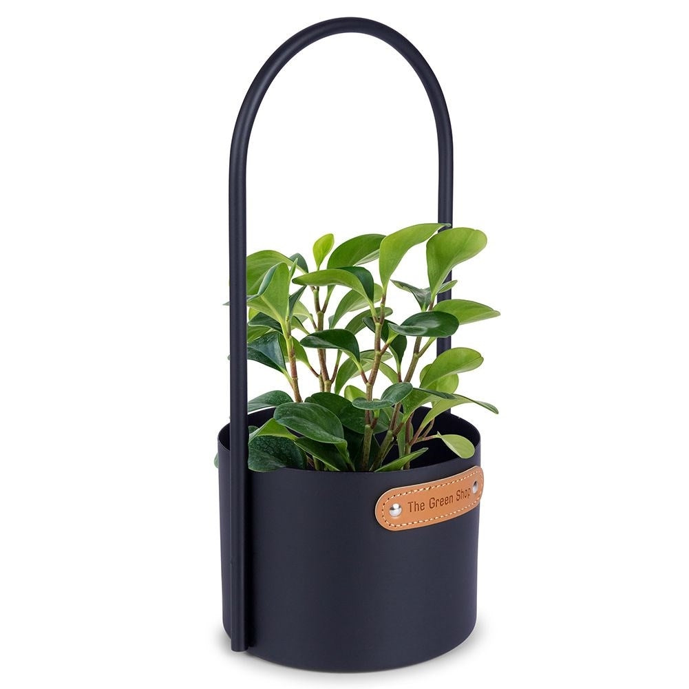 Metal pot with handle for indoor and outdoor use